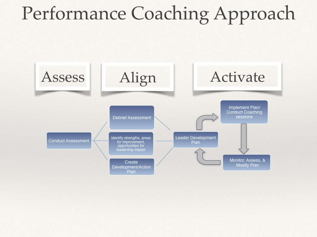 Performance Coaching Approach